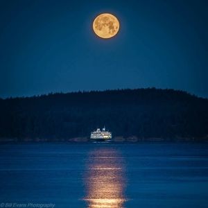 Meet your Posher, Adrian